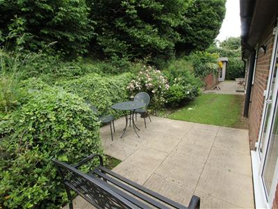 Picture 14